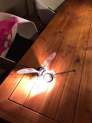 Die Fliege